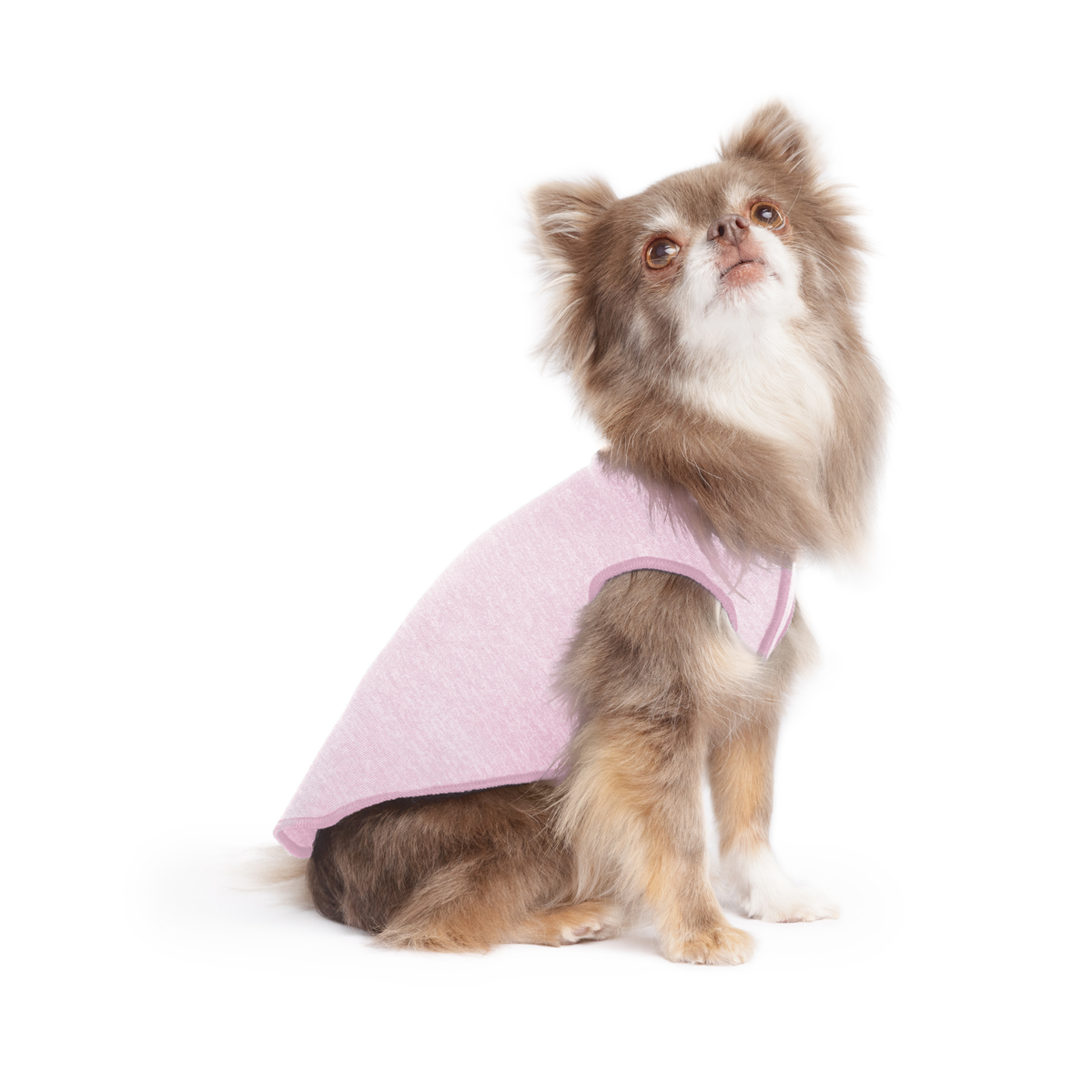 Pink dog sun shield tee with cutout underbelly, worn by small tan-and-white dog