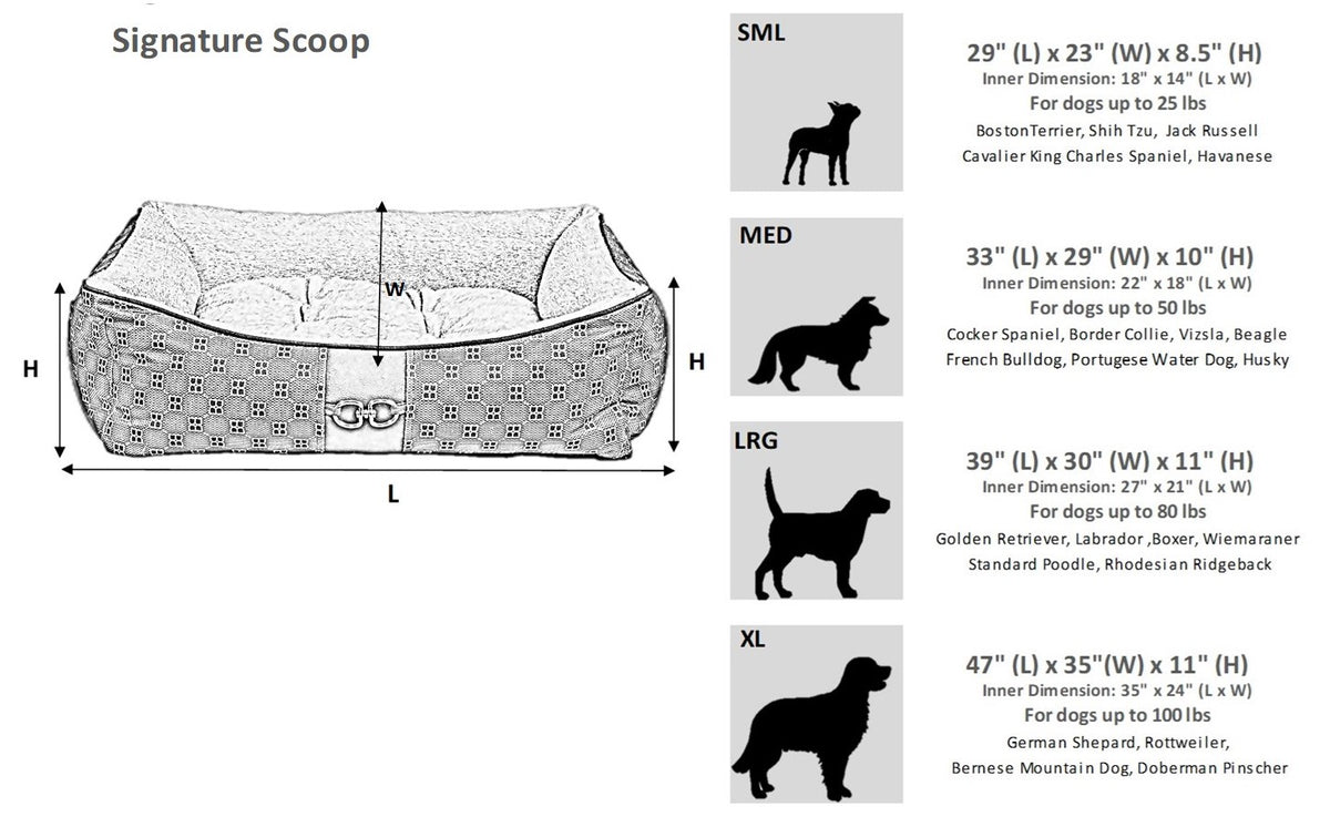 Ivory dog bed size chart diagram with dimensions and pet silhouettes
