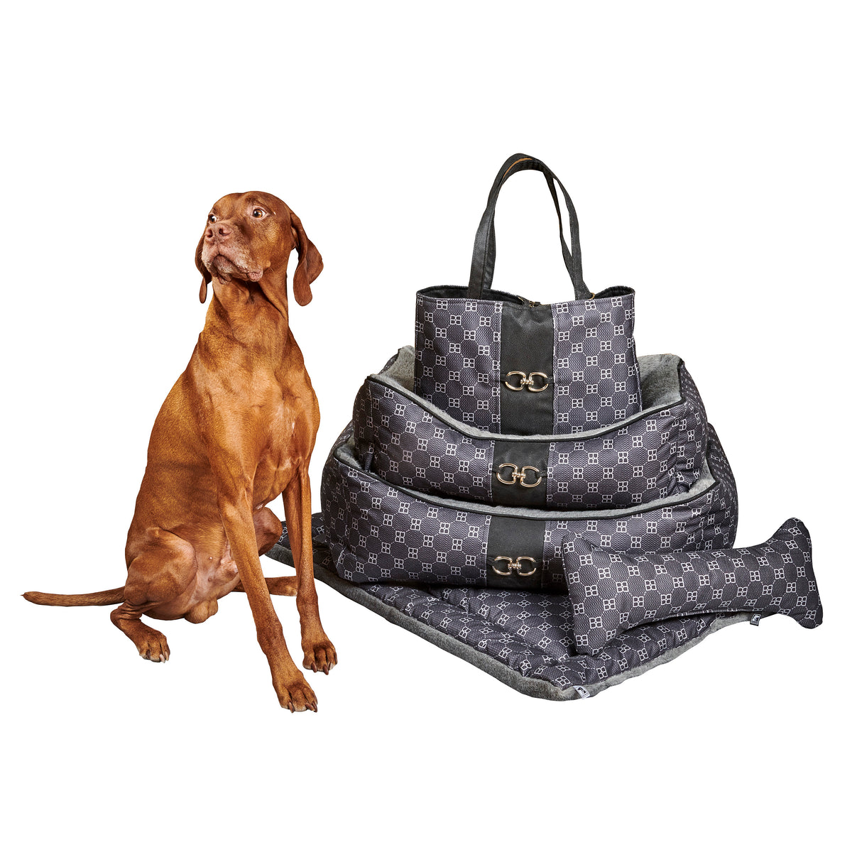 Dark patterned scoop dog bed with gray liner; gold-tone buckles and carry handle