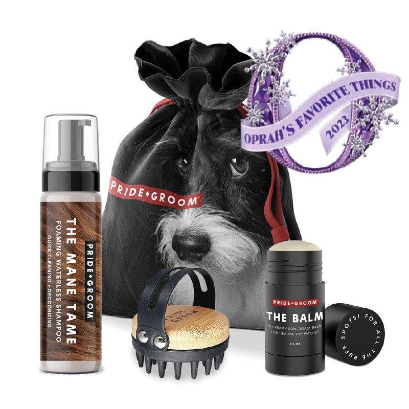 Dog grooming set with balm jar, spray bottle, grooming brush, and round scent stamp.