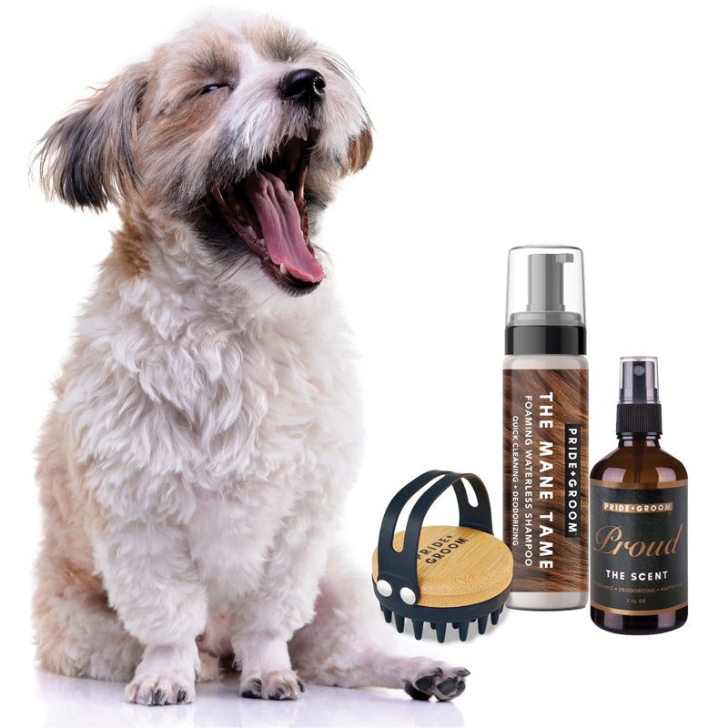 Waterless dog grooming kit with grooming brush and balm bottle set, shown with a dog.