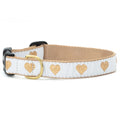 White dog collar with gold heart pattern, tan webbing, and gold metal buckle