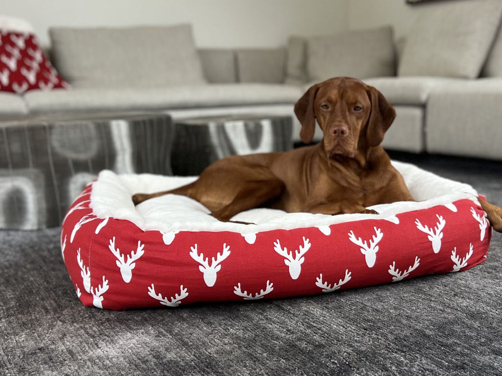 Dog lounging in red antler-print lounger bed with white padded bolsters