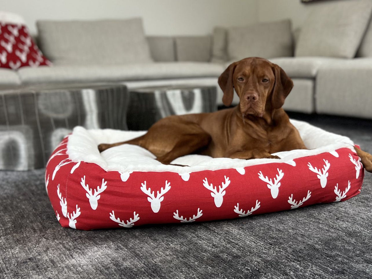 Dog lounging in red antler-print lounger bed with white padded bolsters