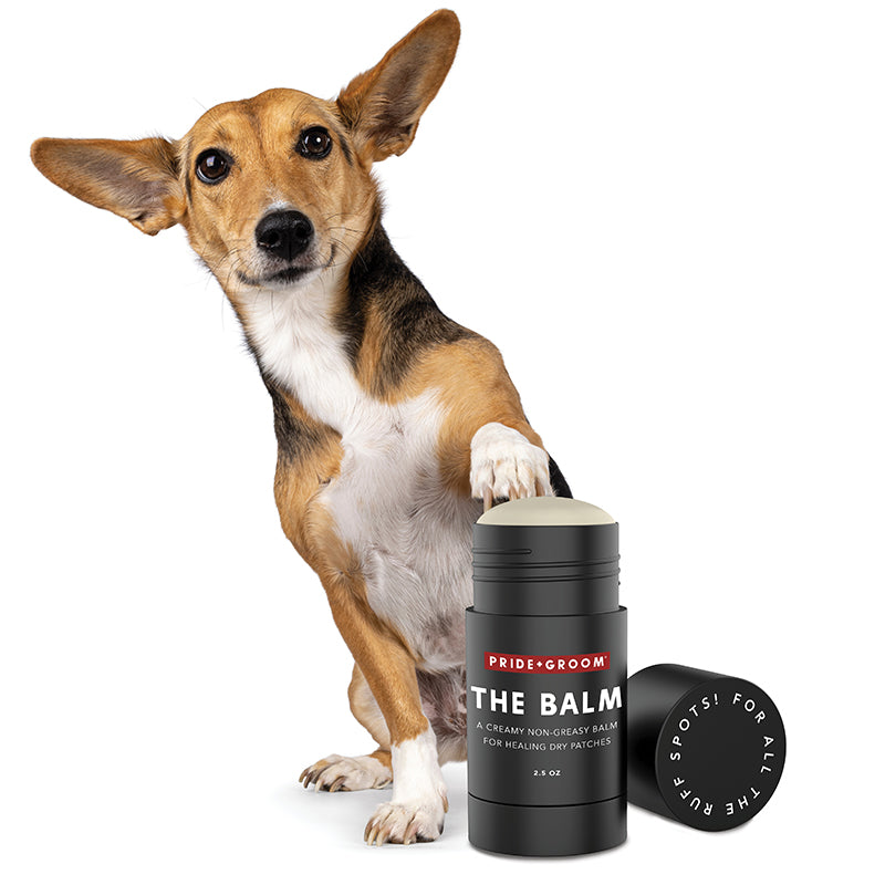 Pet dog with Pride+Groom THE BALM stick and round tin next to it