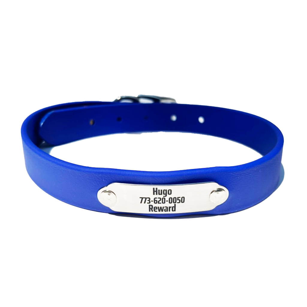Waterproof dog collar in navy blue with engraved metal nameplate reading Hugo