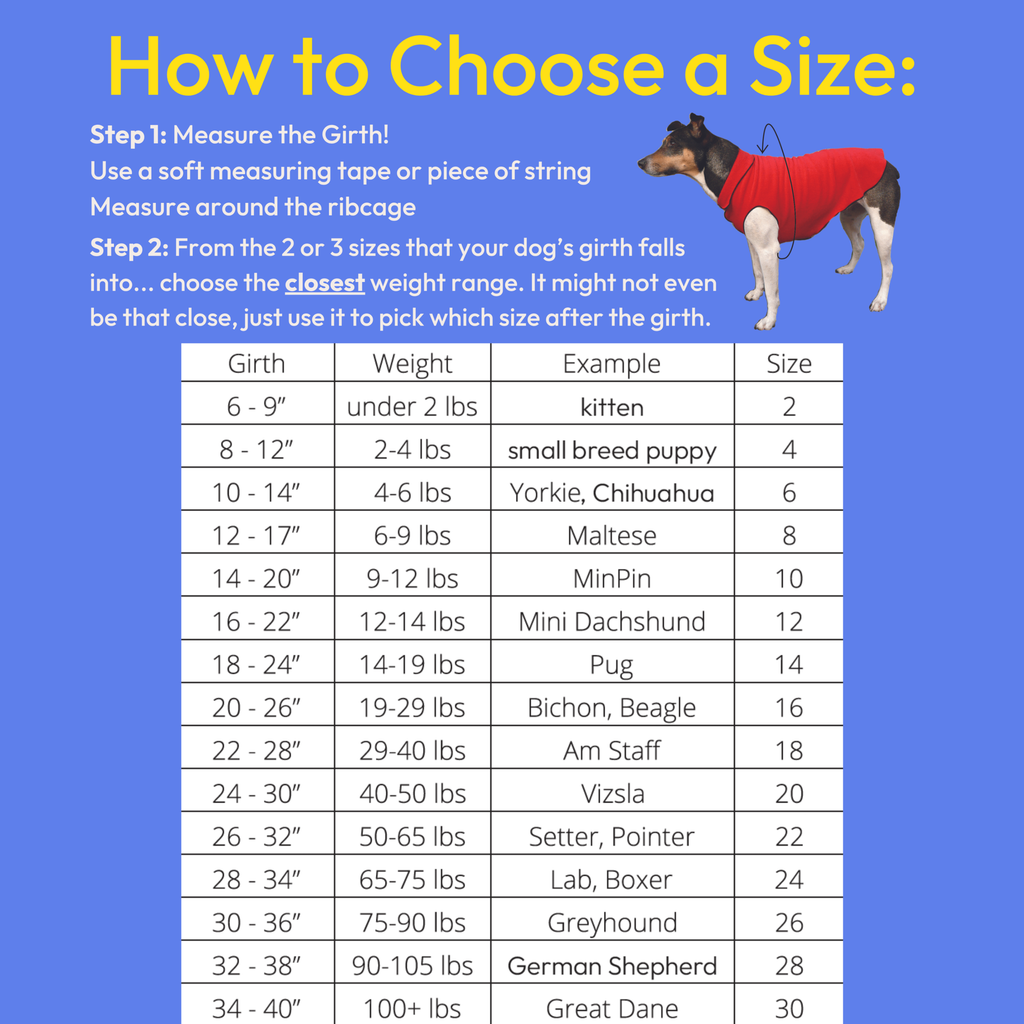 Dog tee size chart showing girth and weight ranges for sizes 2 to 30