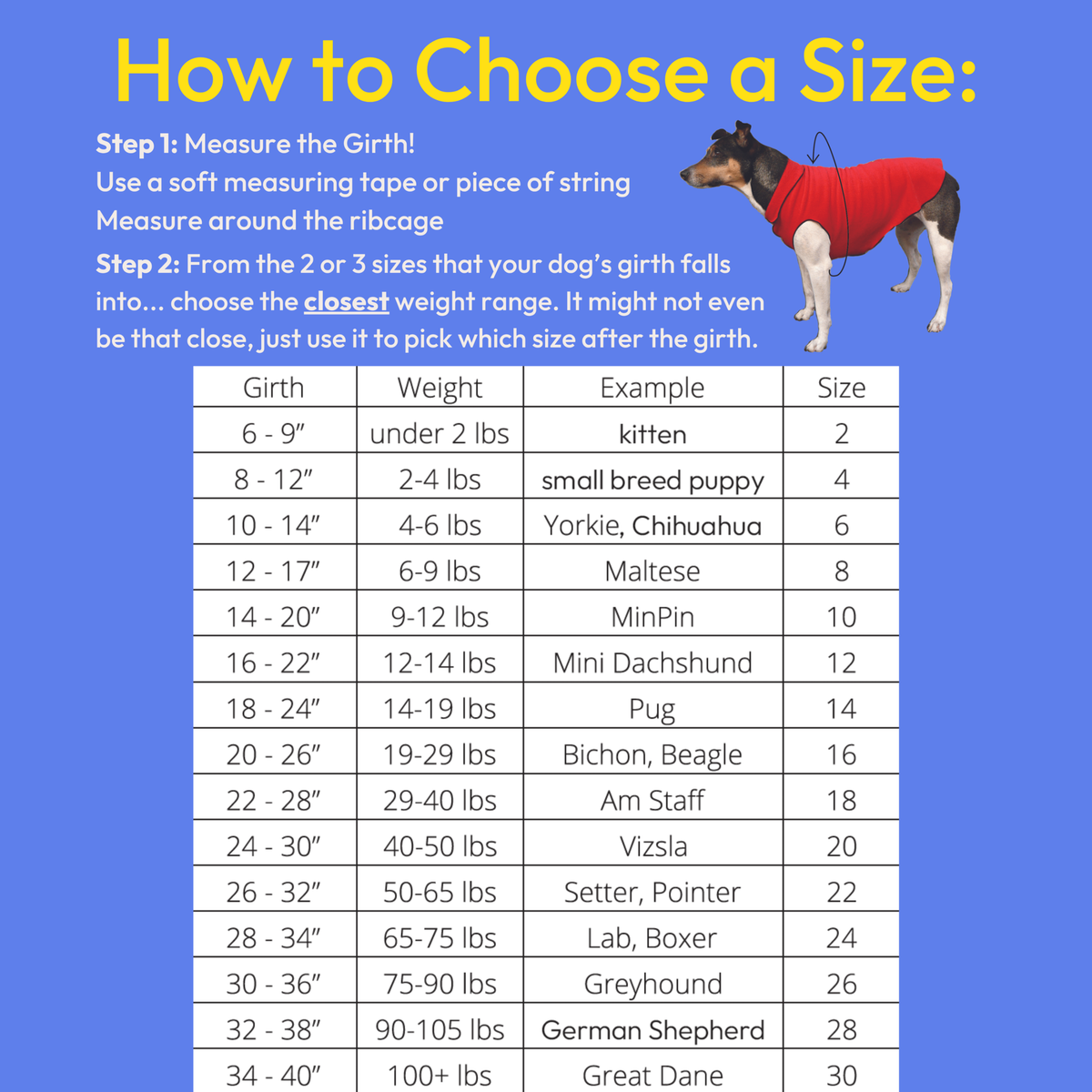 Dog tee size chart showing girth and weight ranges for sizes 2 to 30
