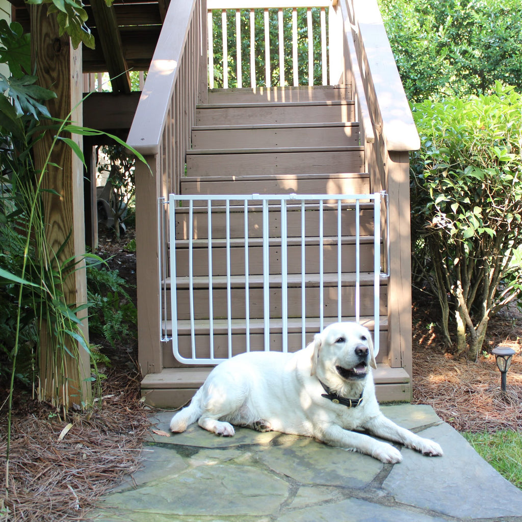 White aluminum outdoor dog safety gate with vertical bars, attached to steps