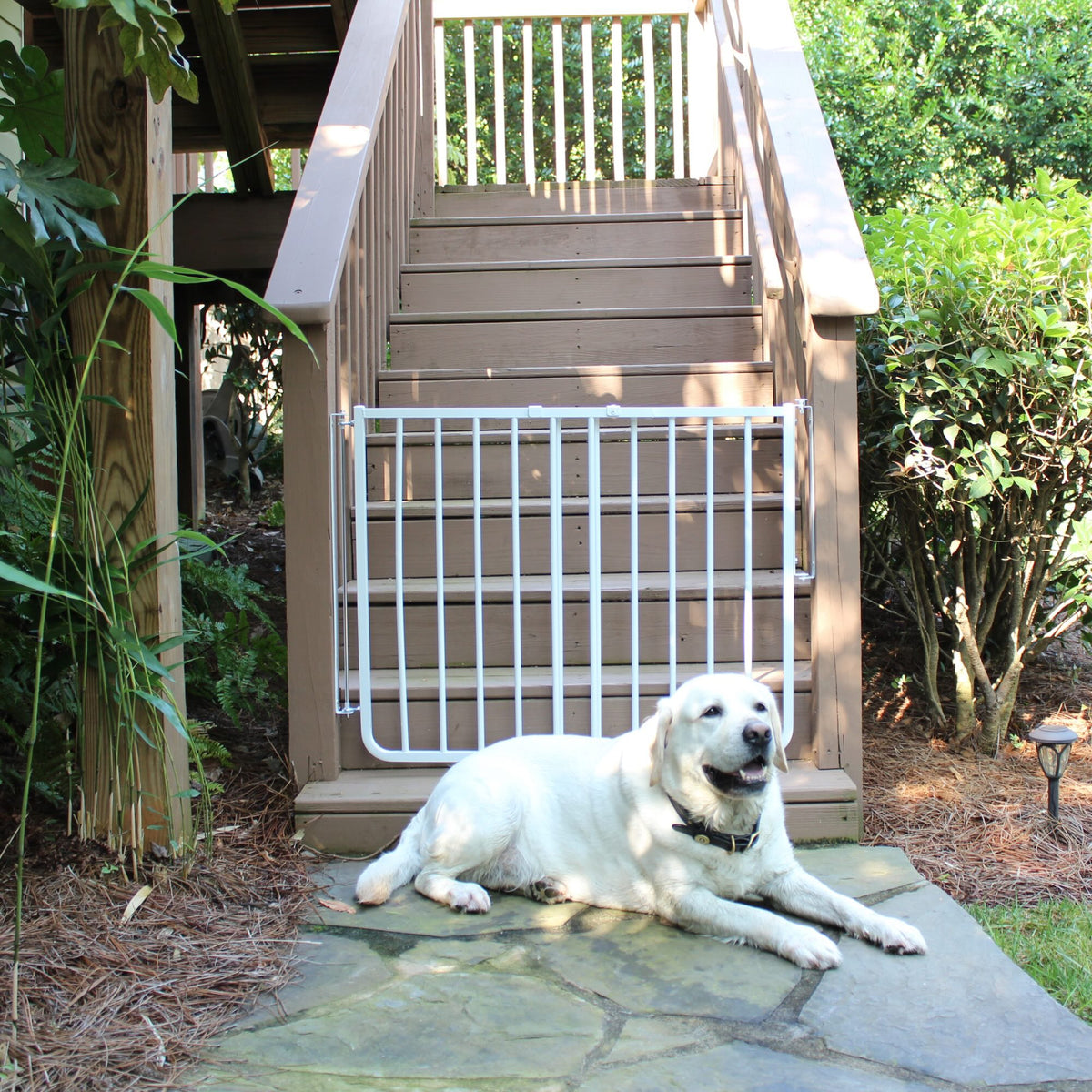 White aluminum outdoor dog safety gate with vertical bars, attached to steps