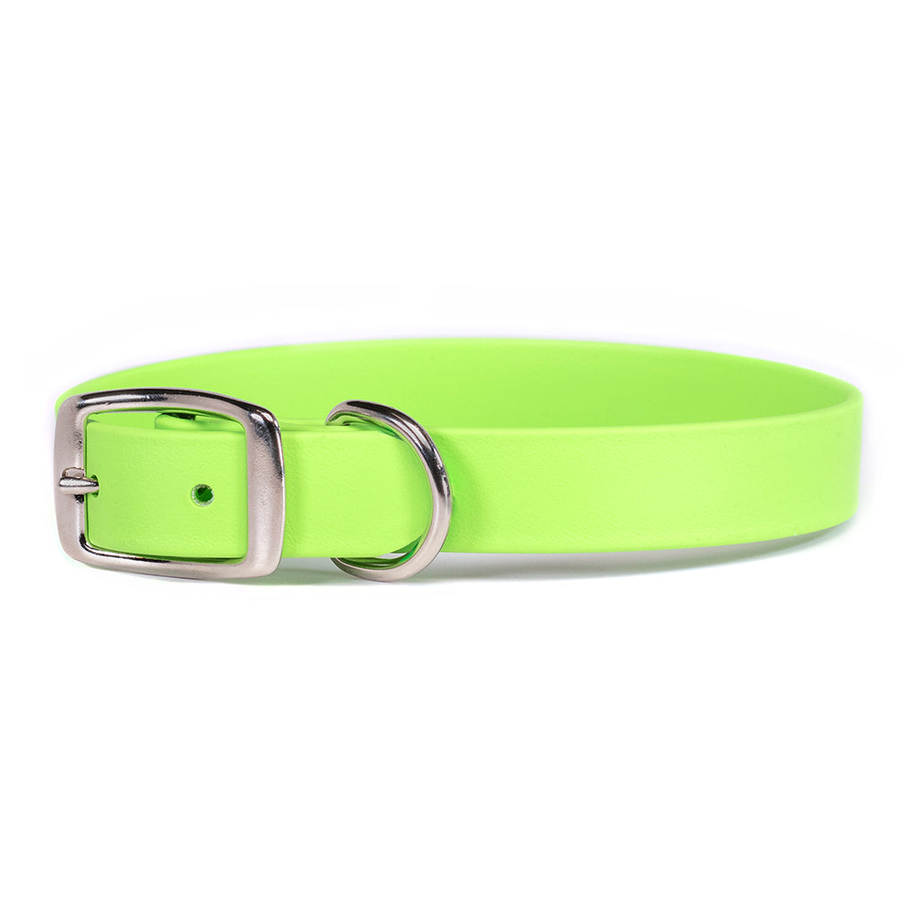 Waterproof bright green dog collar with silver buckle and D-ring hardware