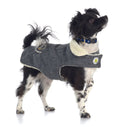 Gray fleece-lined dog coat on small black-and-white dog, cream collar and chest patch