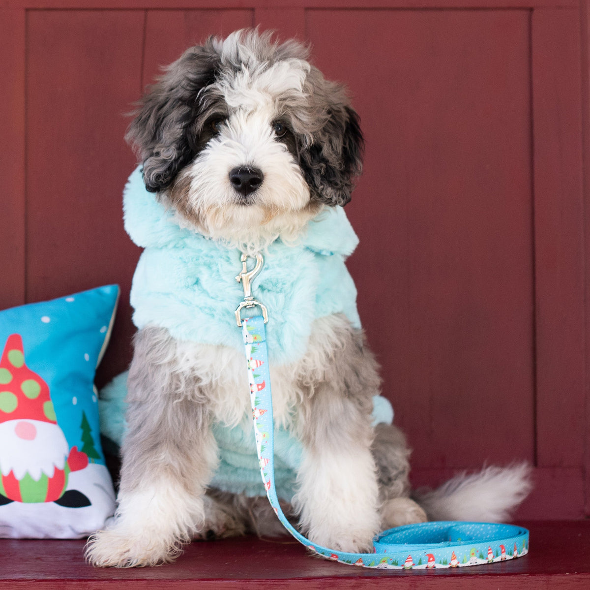 Light blue plush hooded coat with front snap and leash loop