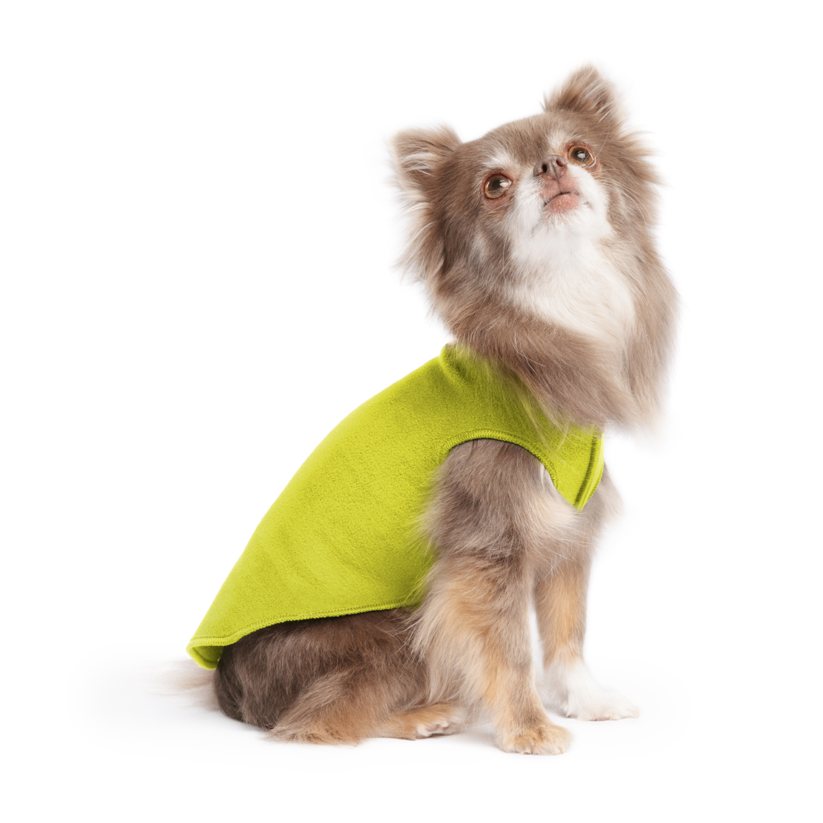 Avocado green stretch fleece dog coat on gray-and-white dog, side view