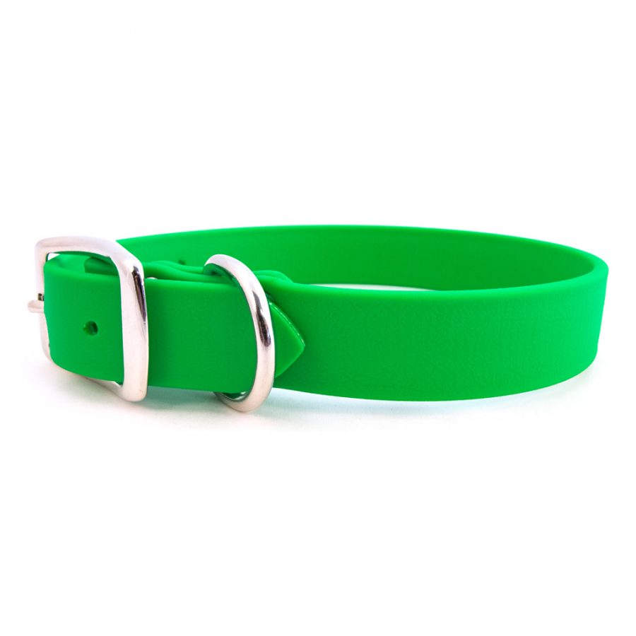 Green waterproof dog collar with metal buckle and D-ring hardware