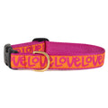 Pink dog collar with yellow “LOVE” lettering and black buckle, close-up front view