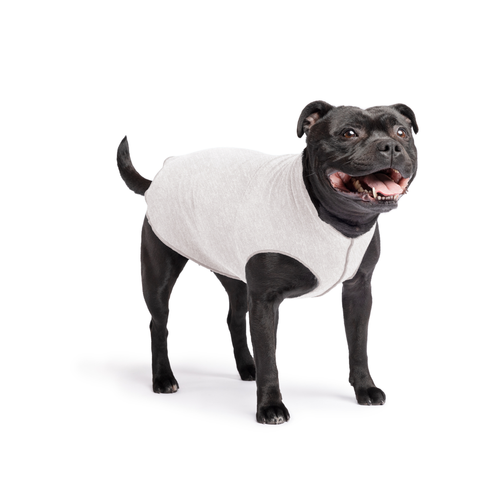 Light grey dog sun shield tee with smooth knit fabric and wide arm cutout