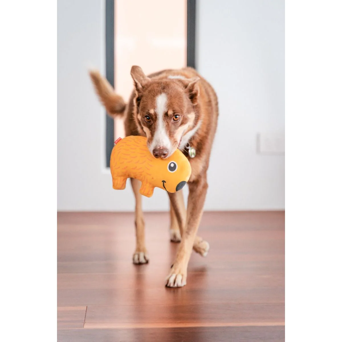 Plush wombat dog toy in orange-yellow with embroidered face, held by dog