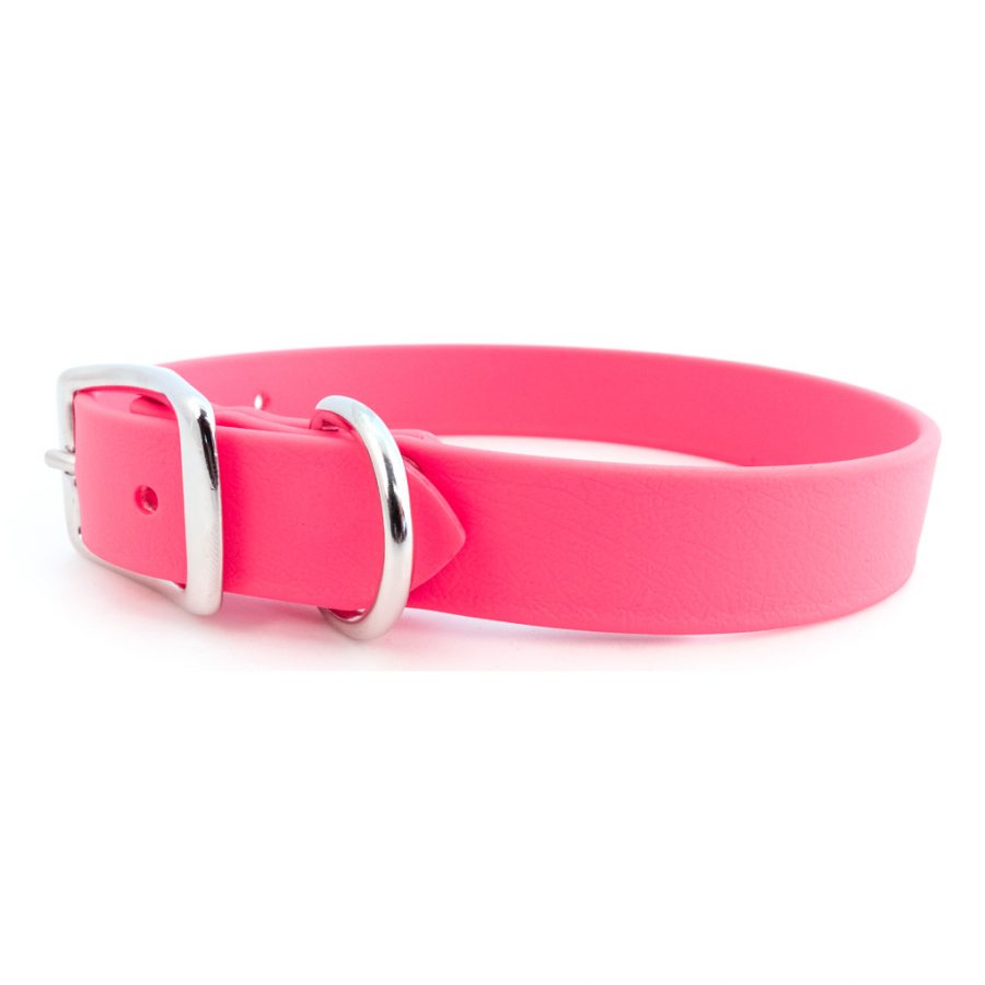 Pink waterproof dog collar with metal buckle and D-ring hardware