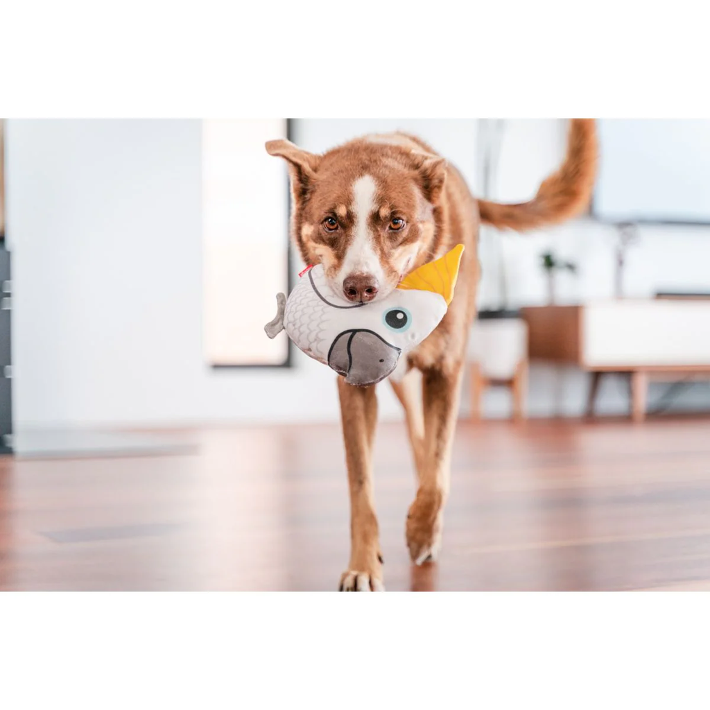Plush cockatoo-shaped dog toy with yellow beak, on a standing dog