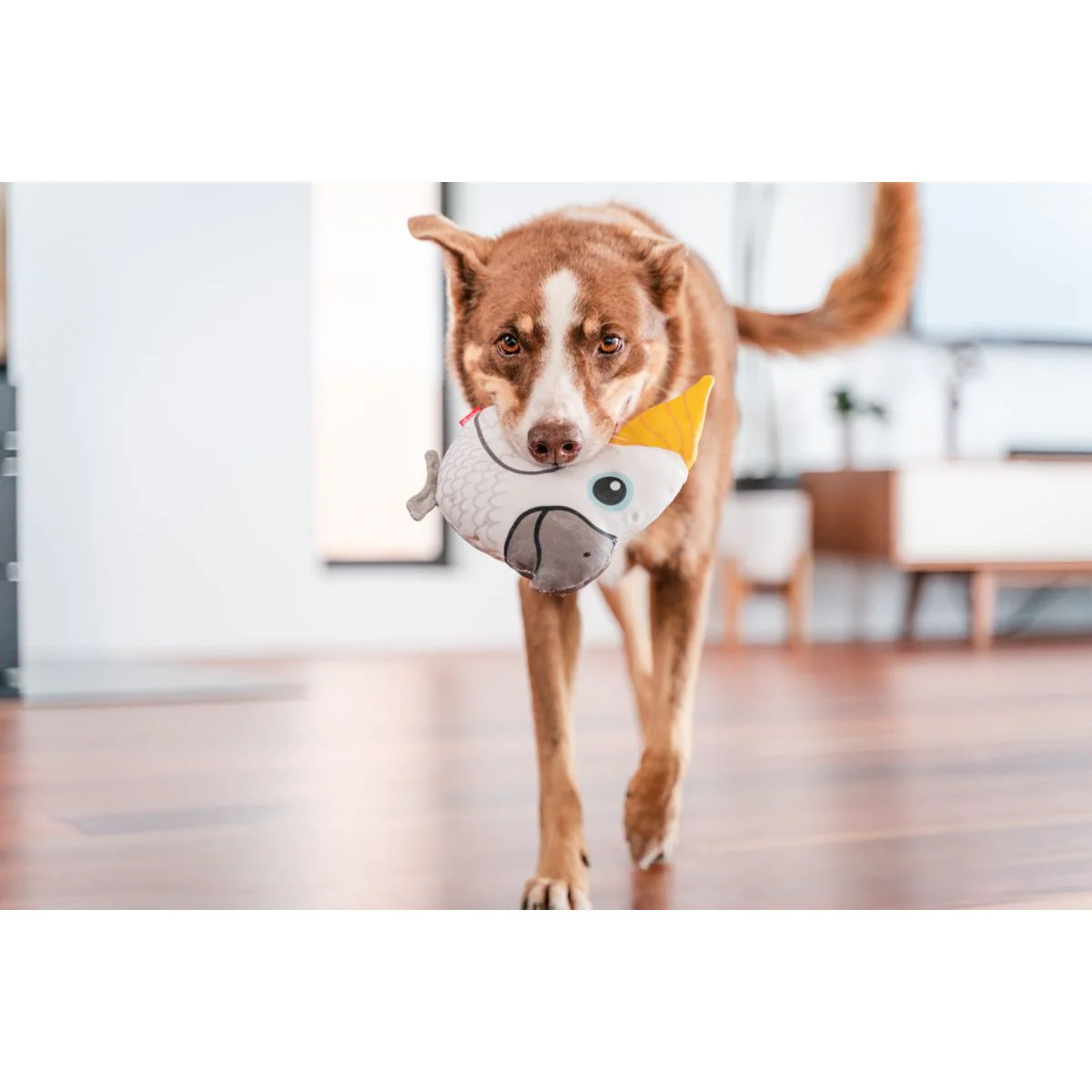 Plush cockatoo-shaped dog toy with yellow beak, on a standing dog