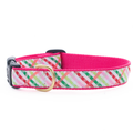 Multicolor plaid dog collar with red trim and gold buckle