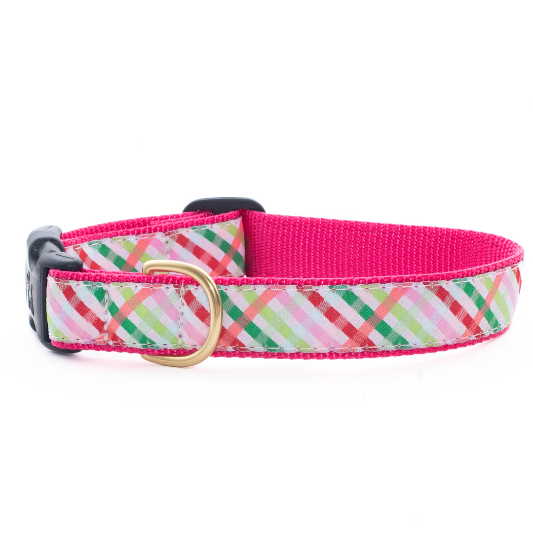 Multicolor plaid dog collar with red trim and gold buckle
