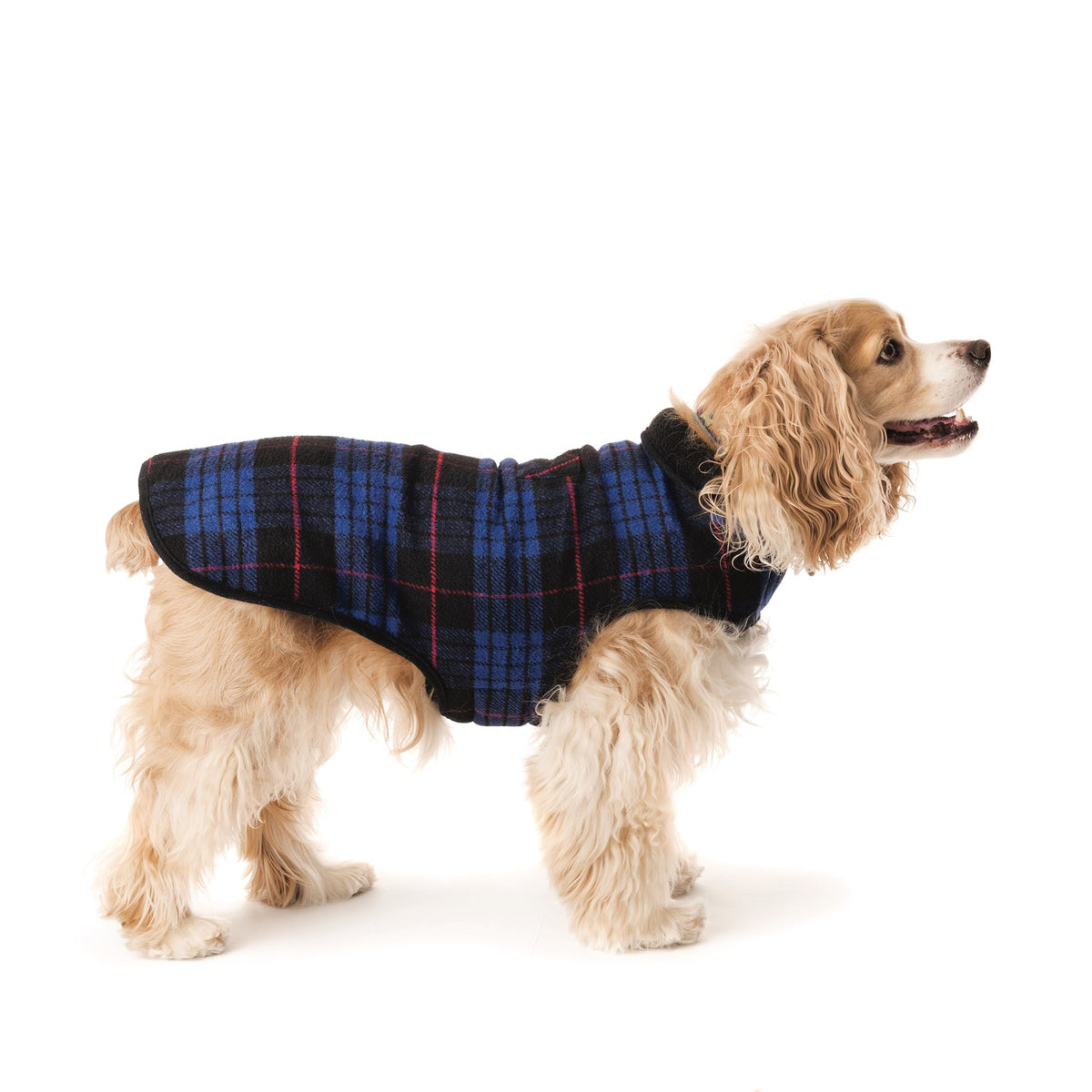 Blue plaid fleece-lined dog coat, side view with black neck trim