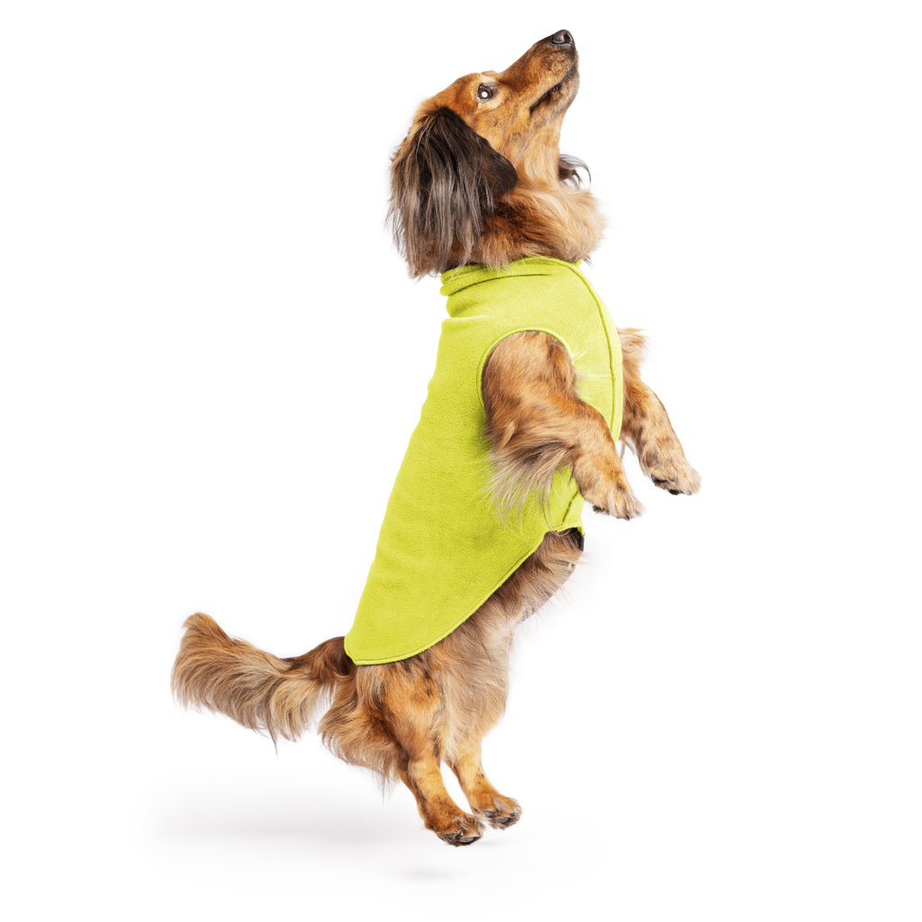 Avocado green stretch fleece dog coat on tan dog, back and side view