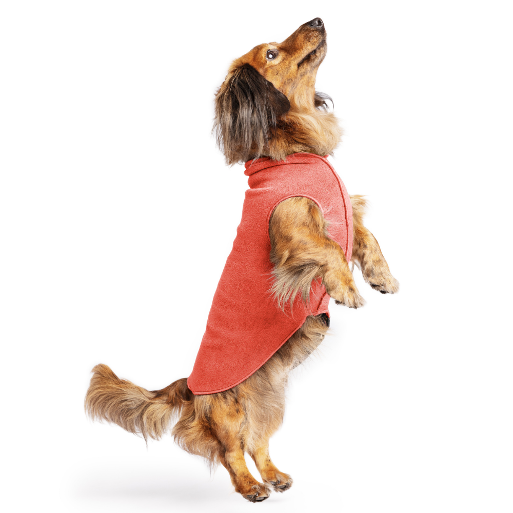 Rust-red stretch fleece dog coat with elastic leg openings, back panel