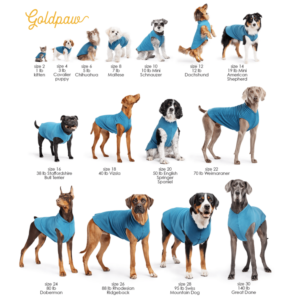 Goldpaw dog coat sizing chart showing multiple sizes on dogs