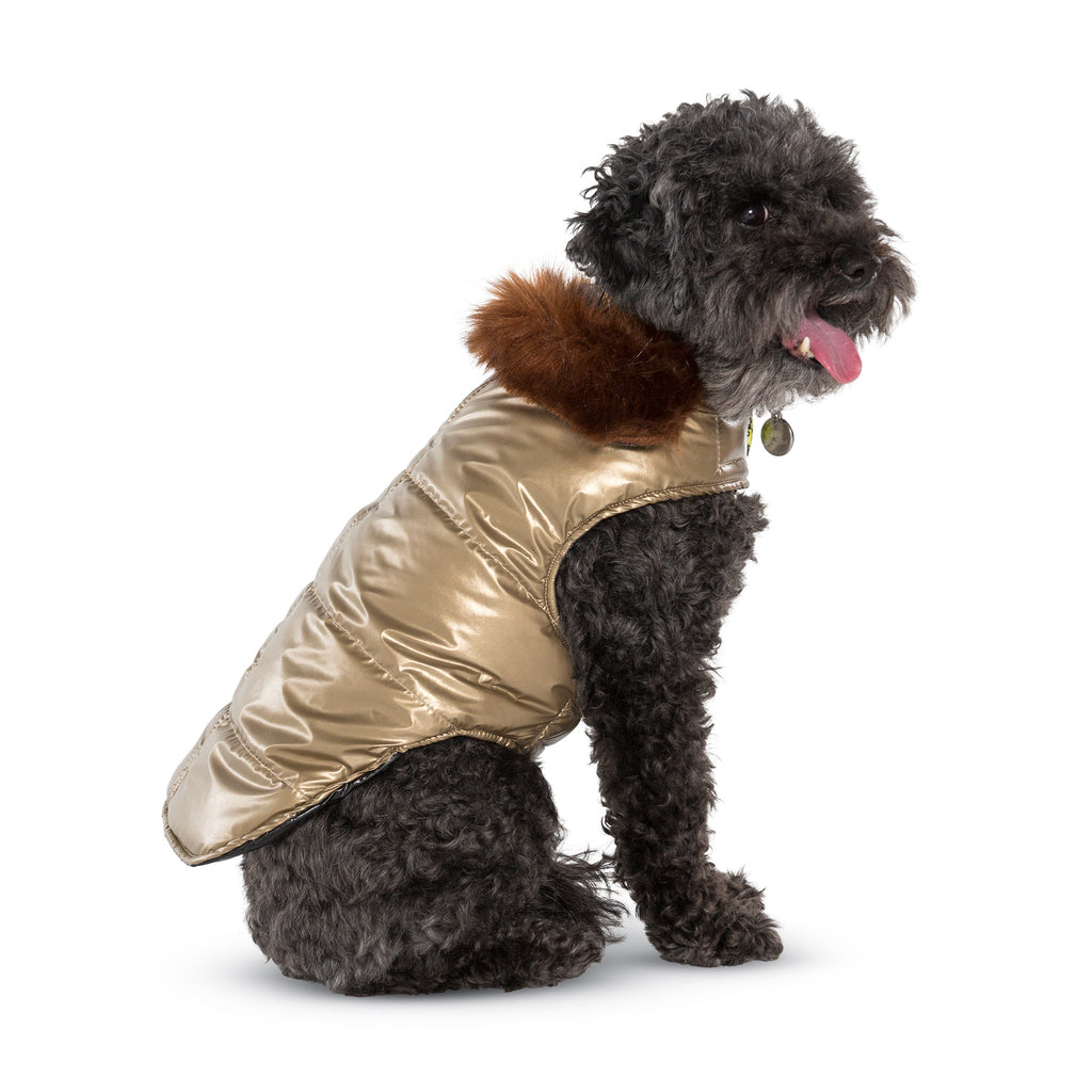 Metallic gold dog puffer coat with front zipper and stand collar