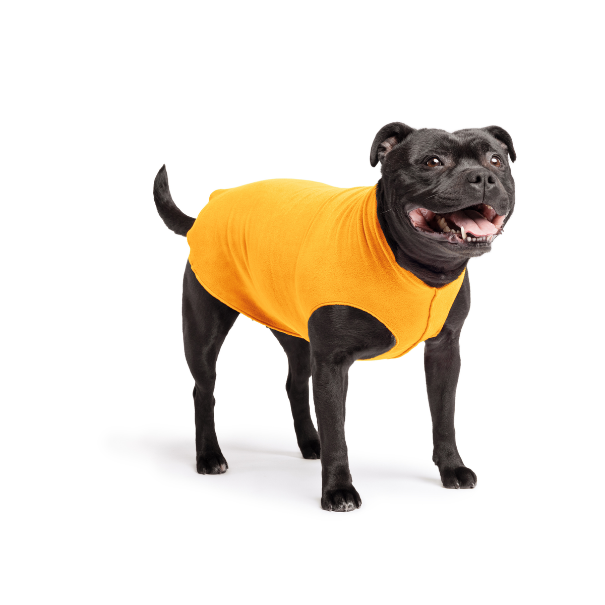 Orange cheddar stretch fleece dog coat with armholes, worn by black dog