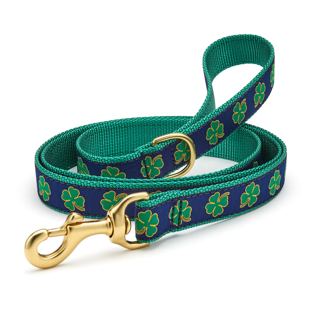 Shamrock dog collar with gold D-ring and clasp, green webbing and navy border
