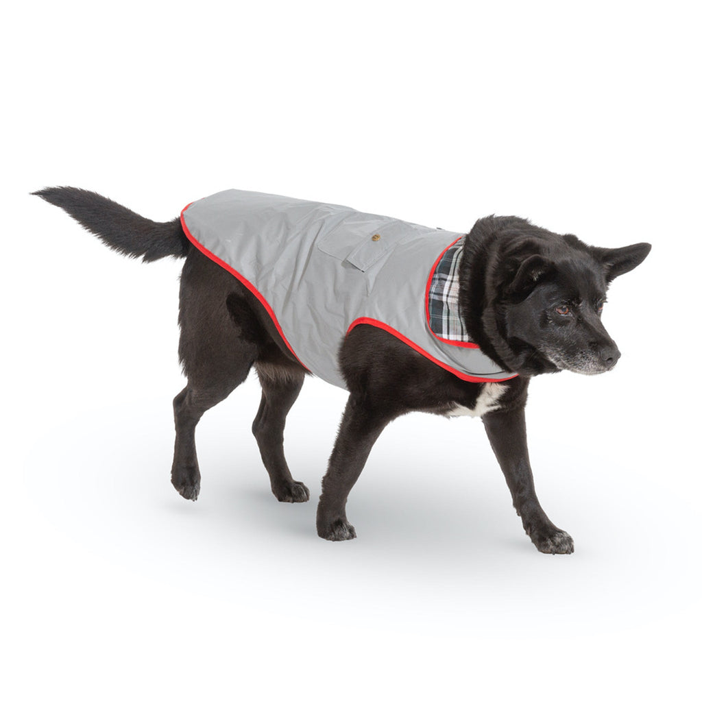 Gray reflective dog jacket with red trim, worn on a standing dog