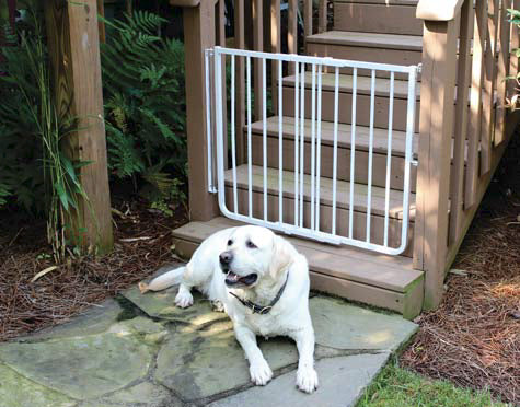 White aluminum outdoor dog safety gate, open area with vertical bars on porch