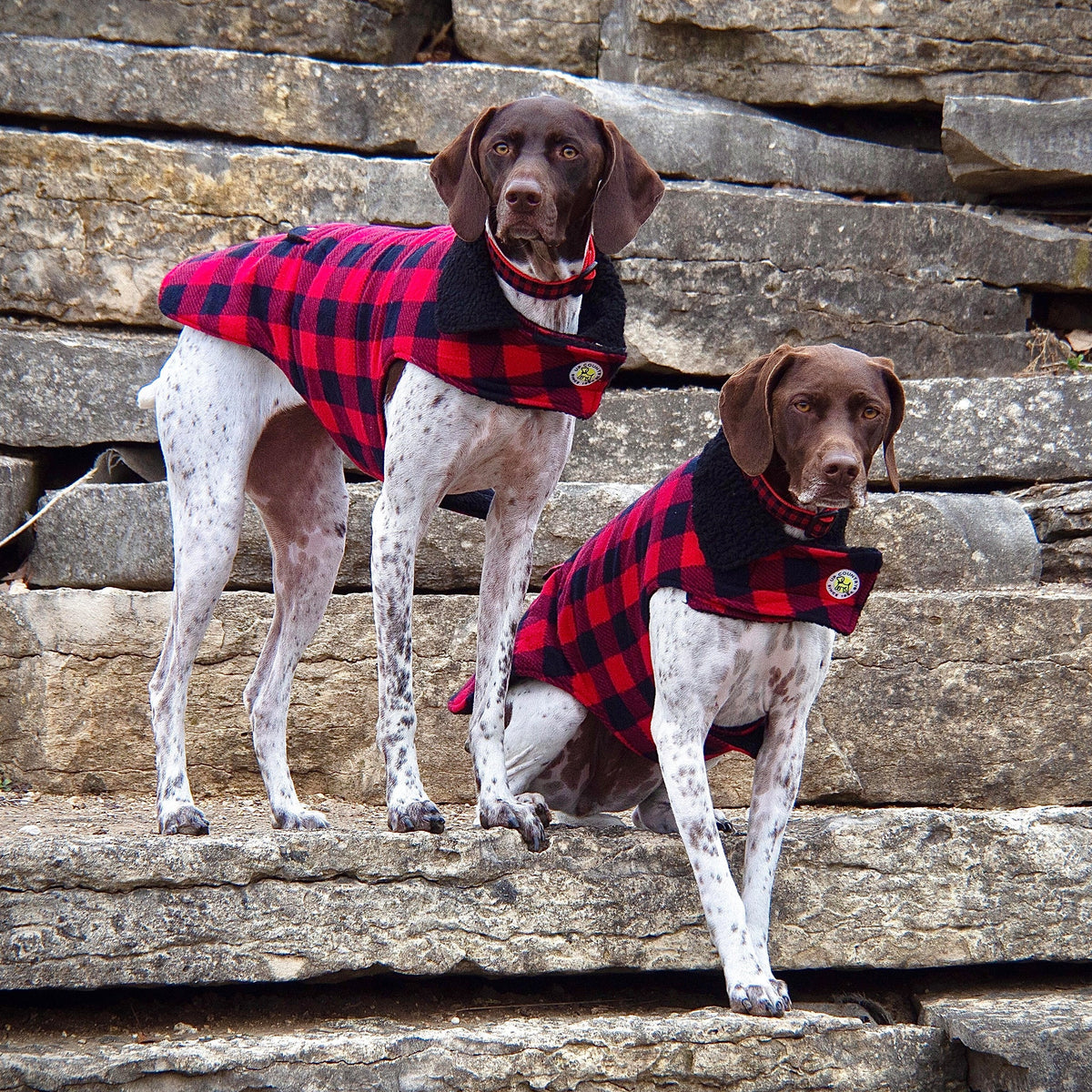 Red buffalo check dog coat with black plaid front, fleece lining, snap closure