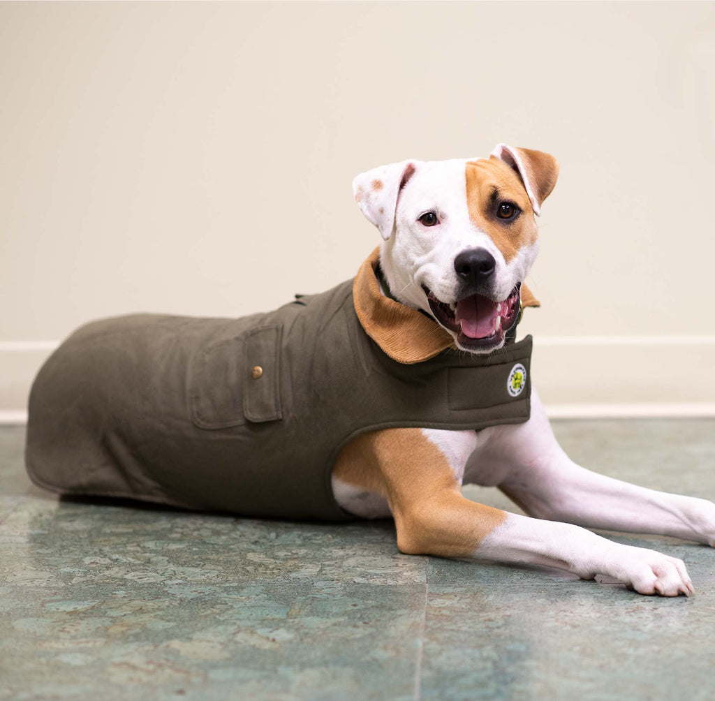 Olive green dog barn coat with buttoned pocket flaps and hooded collar