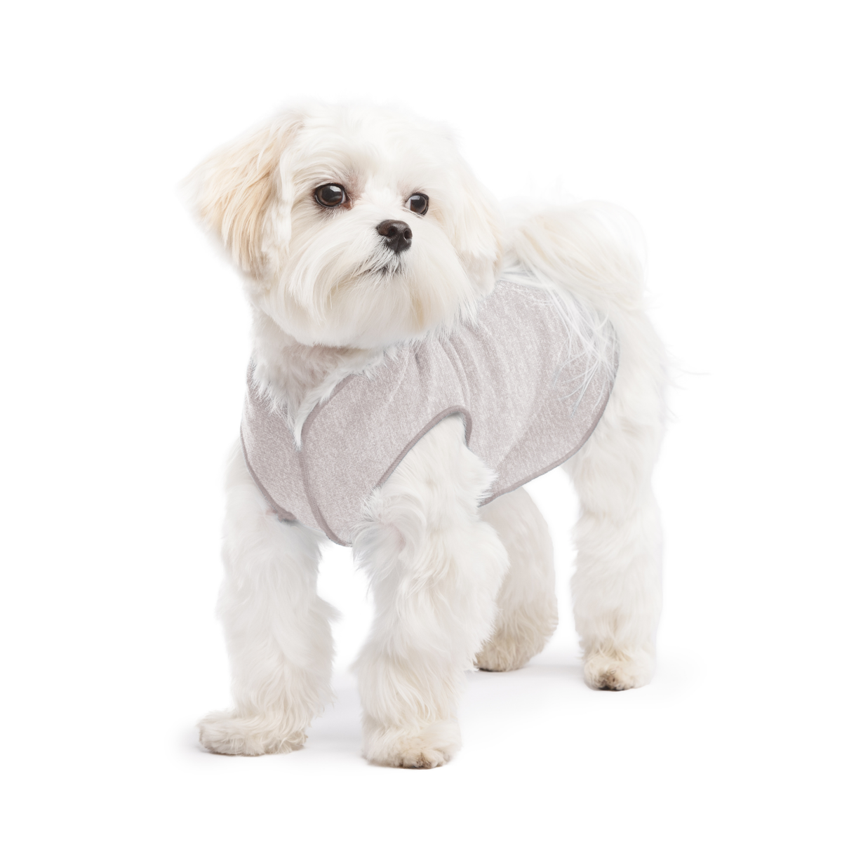 Light grey dog sun shield tee with high neck and cutout armholes