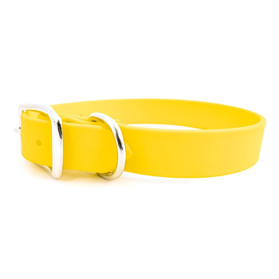 Yellow waterproof dog collar with metal buckle and D-ring hardware