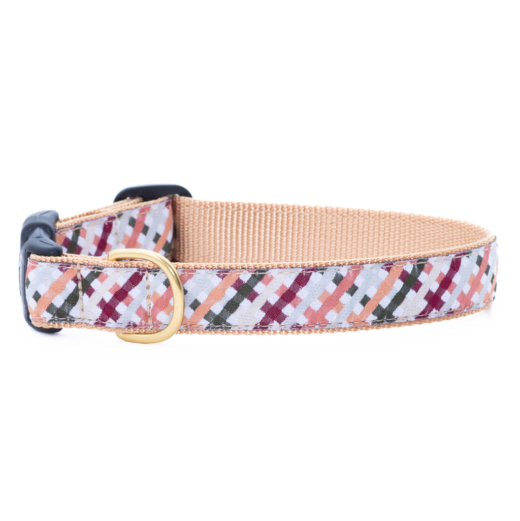 Beige plaid dog collar with gold buckle and D-ring, blue red green pattern