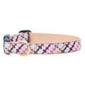 Beige plaid dog collar with gold buckle and D-ring, blue red green pattern