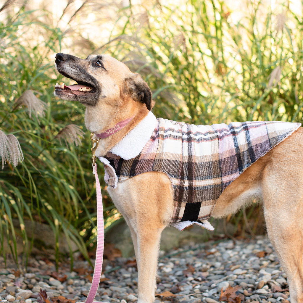 Shacket-style dog coat with white sherpa collar, brown and blue plaid