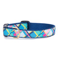 Plaid dog collar with blue webbing, colorful geometric pattern, brass buckle and D-ring