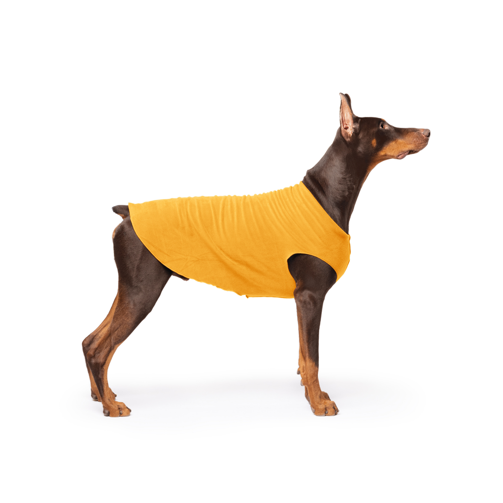 Orange cheddar stretch fleece dog coat with armholes, worn by brown dog