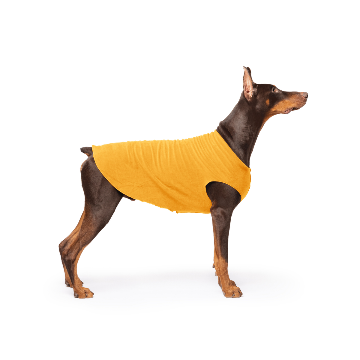 Orange cheddar stretch fleece dog coat with armholes, worn by brown dog