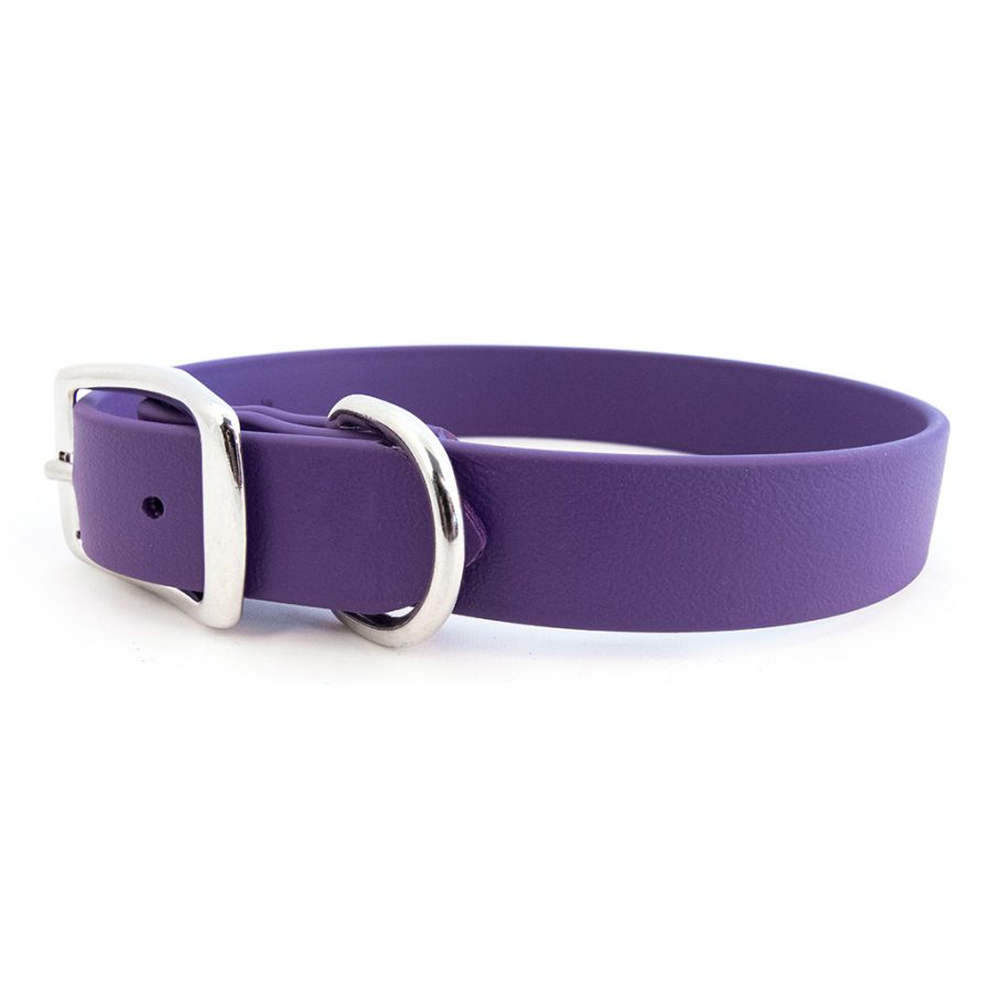 Waterproof purple dog collar with silver buckle and D-ring hardware