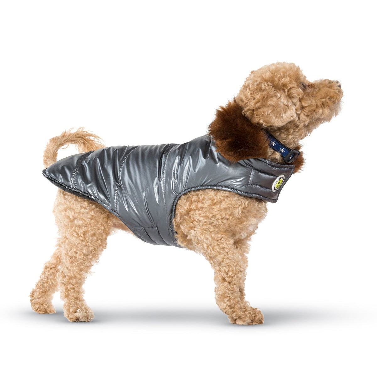 Metallic silver dog coat with brown faux-fur collar, quilted body, front clasp