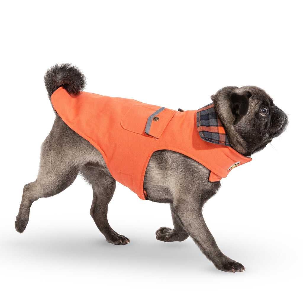 Orange dog field coat with plaid trim and chest pocket flaps, side view on dog