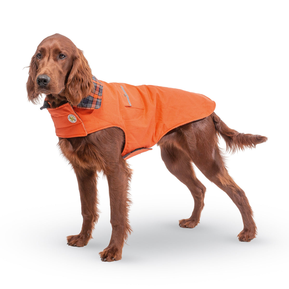 Orange dog field coat with plaid collar and chest patch, worn by brown dog